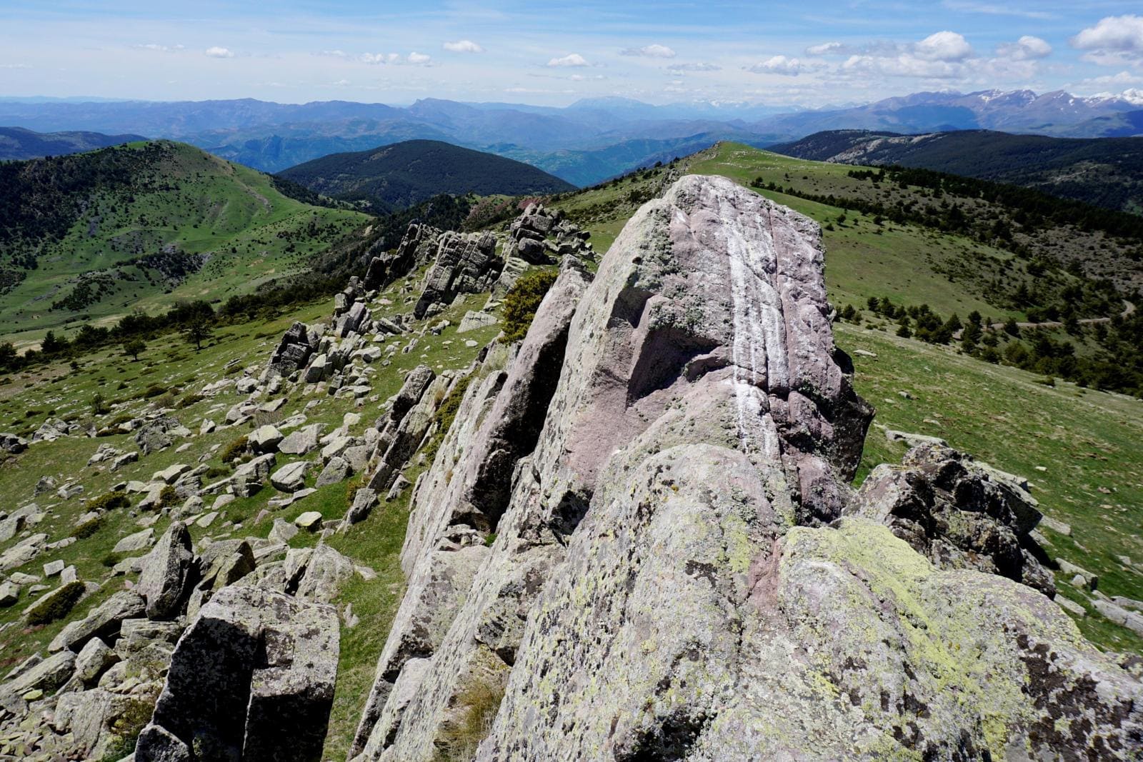 Vista des del coll de les Sals cap a Les Piques Altes (1.971 m), Taús