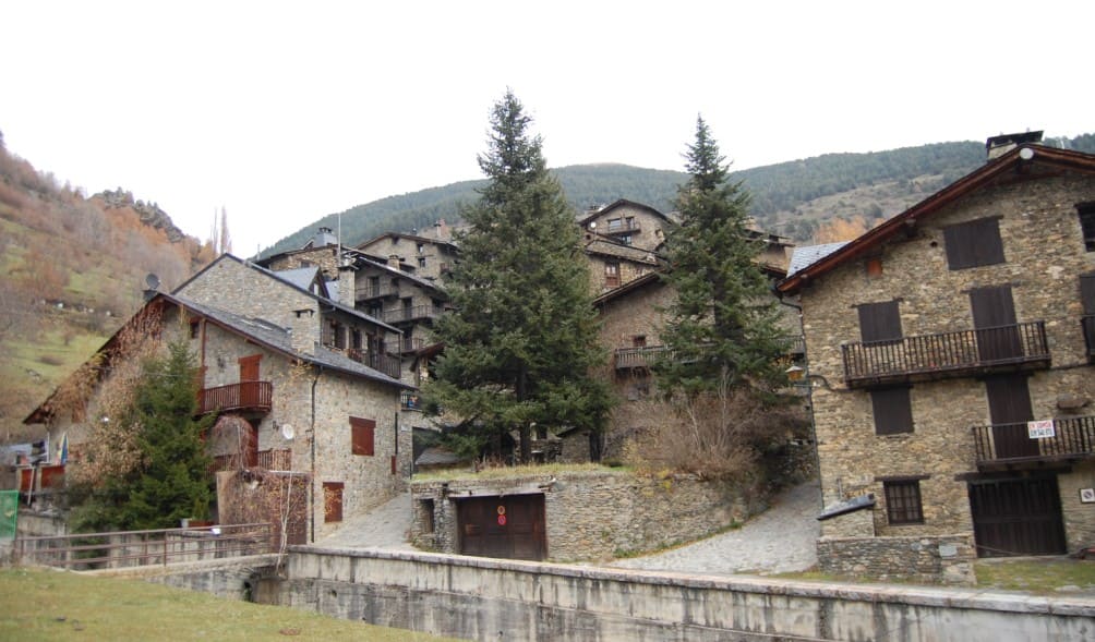 Paisatge del bosc de pi negre a les Valls d'Aguilar, Taús